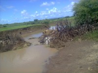 /album/galerie-photos/photo0011-jpg/