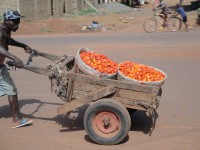 /album/galerie-photos/mali3-jpg/